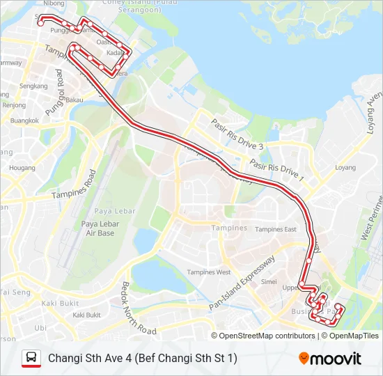 公交593路的线路图