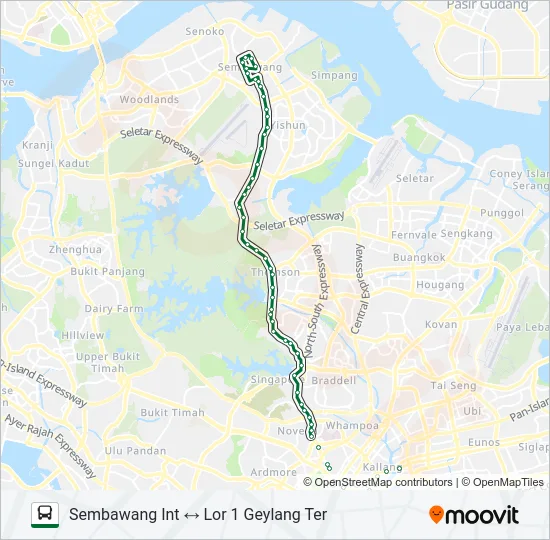 公交980路的线路图