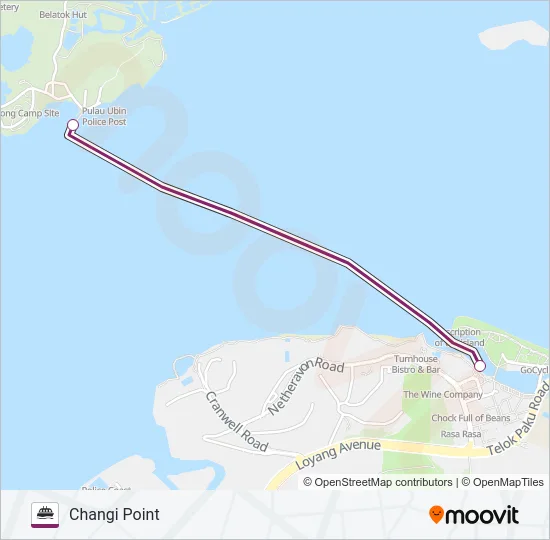 轮渡PULAU UBIN BUMBOAT路的线路图