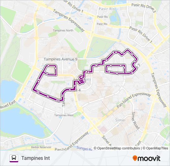 293 bus Line Map