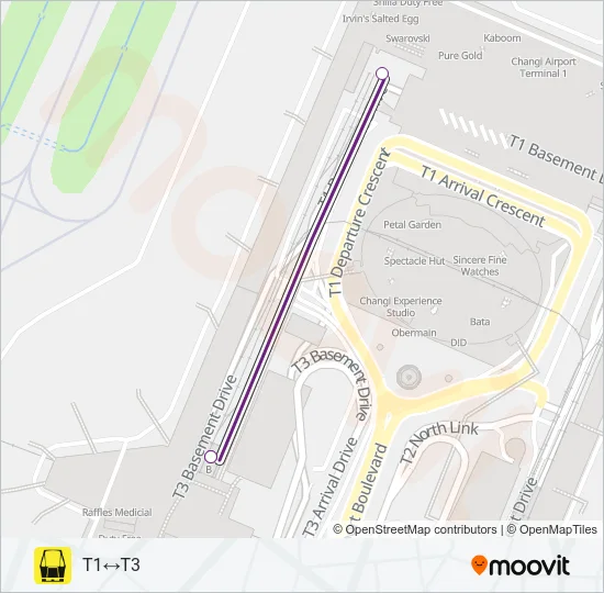捷运和轻快铁CHANGI AIRPORT SKYTRAIN (PUBLIC)路的线路图