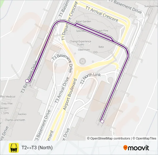 捷运和轻快铁CHANGI AIRPORT SKYTRAIN (TRANSIT)路的线路图