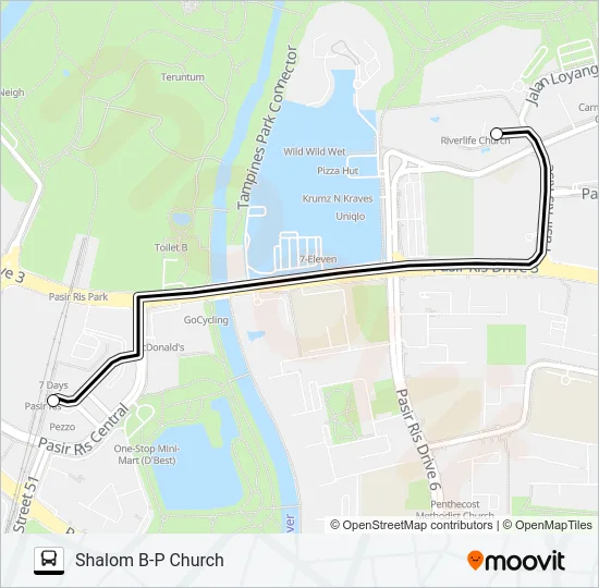 公交SHALOM B-P CH SHUTTLE路的线路图
