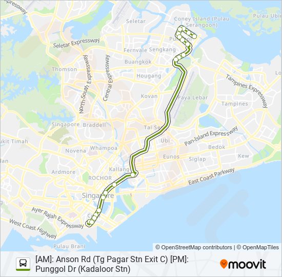 591 bus Line Map