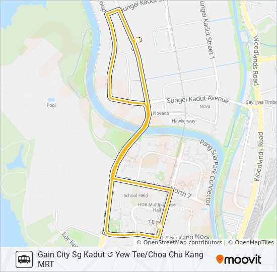 GAIN CITY MEGASTORE SHUTTLE BUS bus Line Map