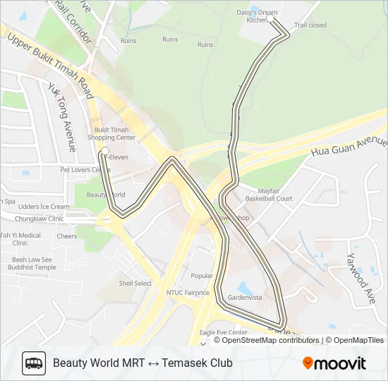 TEMASEK CLUB SHUTTLE Bus Line Map