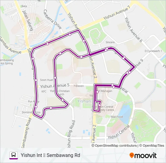 公交800路的线路图