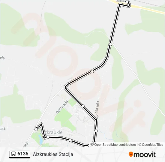 Автобус 6135: карта маршрута