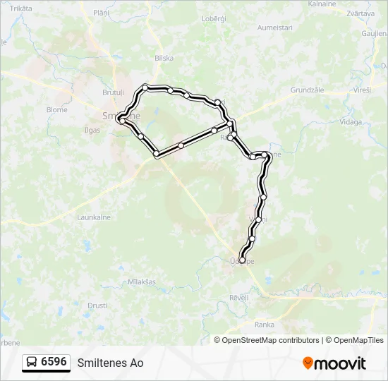 Автобус 6596: карта маршрута