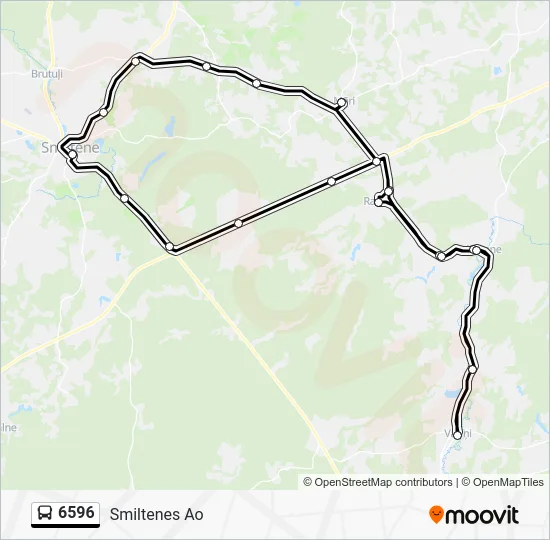 Автобус 6596: карта маршрута