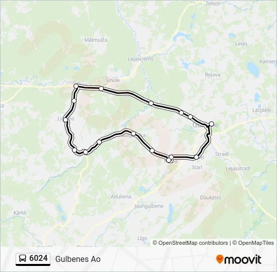 Автобус 6024: карта маршрута