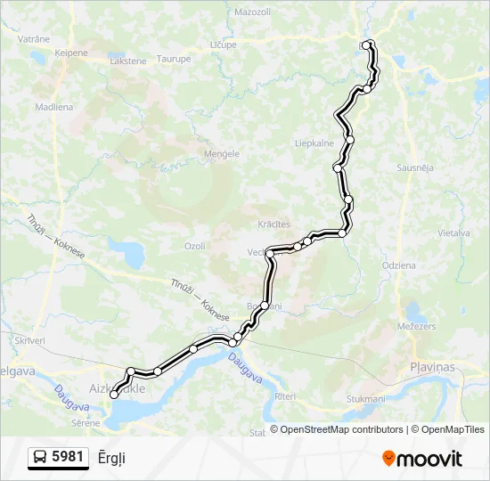 Автобус 5981: карта маршрута