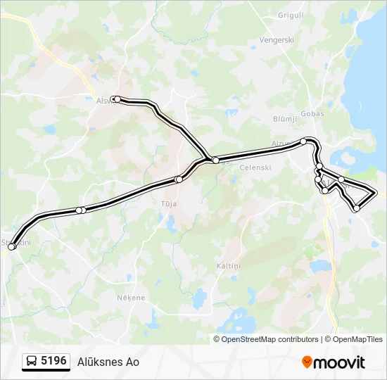 Автобус 5196: карта маршрута