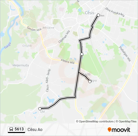 Автобус 5613: карта маршрута