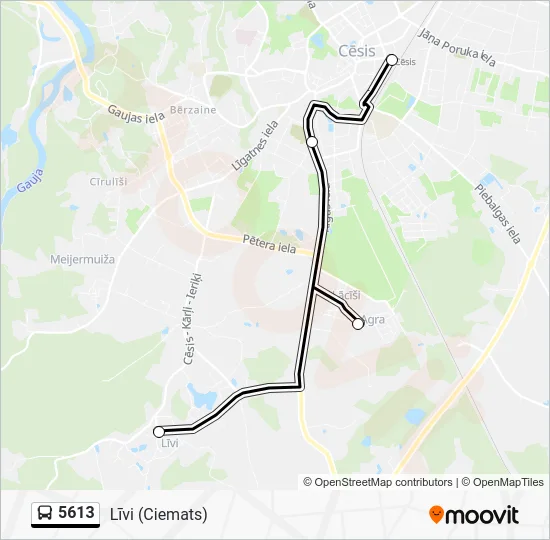 Автобус 5613: карта маршрута