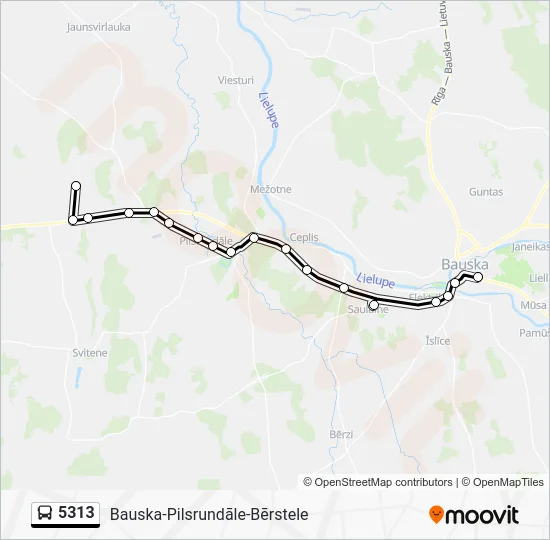 Автобус 5313: карта маршрута