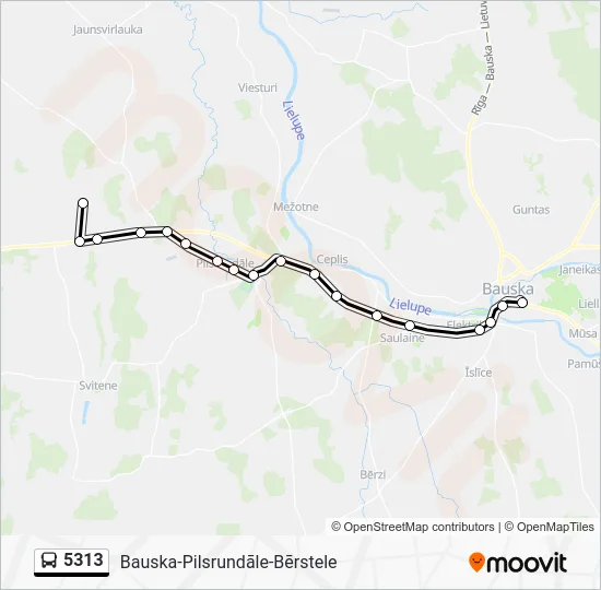 Автобус 5313: карта маршрута