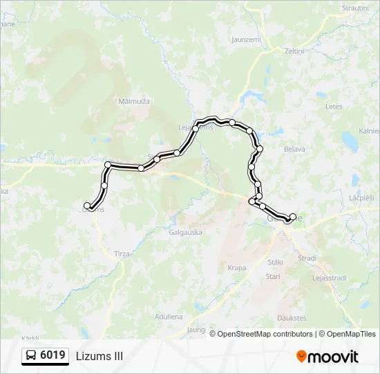 Автобус 6019: карта маршрута