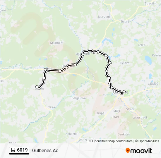 Автобус 6019: карта маршрута