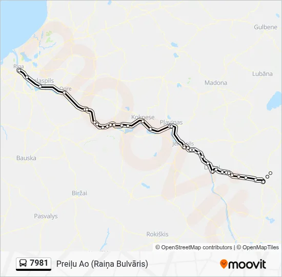 7981 Bus Line Map