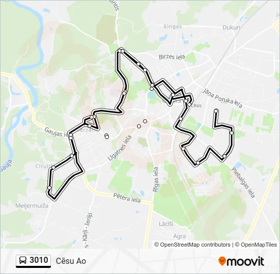 Автобус 3010: карта маршрута