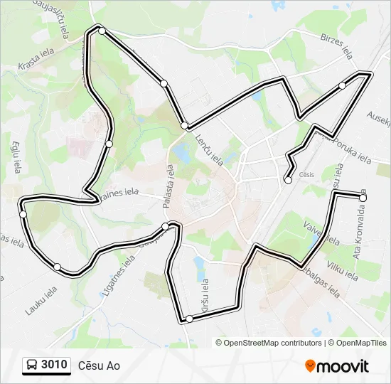 Автобус 3010: карта маршрута