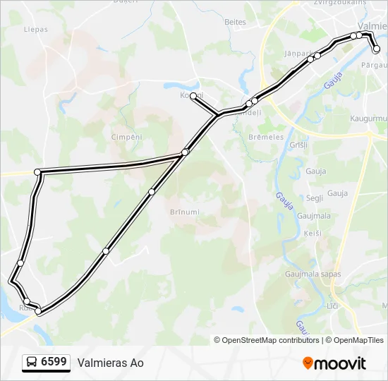 Автобус 6599: карта маршрута