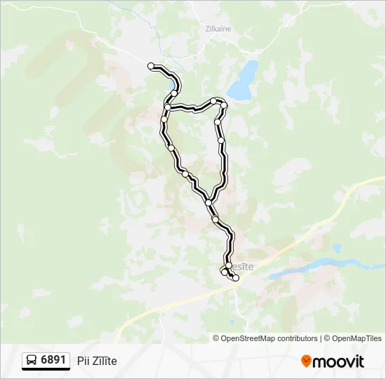 Автобус 6891: карта маршрута