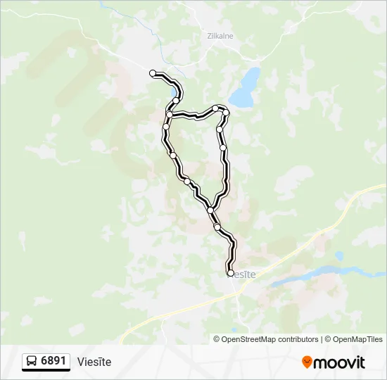Автобус 6891: карта маршрута