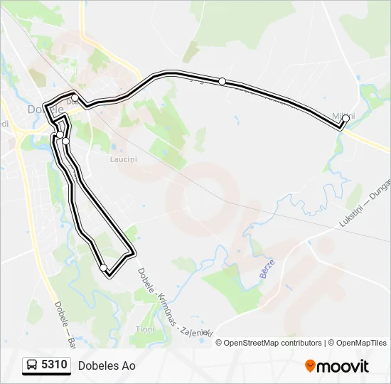 Автобус 5310: карта маршрута