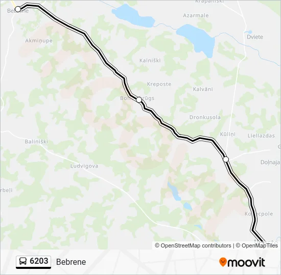Автобус 6203: карта маршрута