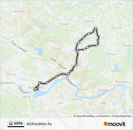 Автобус 6096: карта маршрута