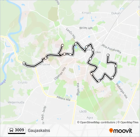 Автобус 3009: карта маршрута