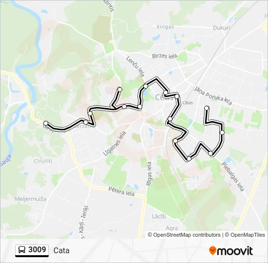 Автобус 3009: карта маршрута