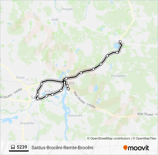 5239 Bus Line Map