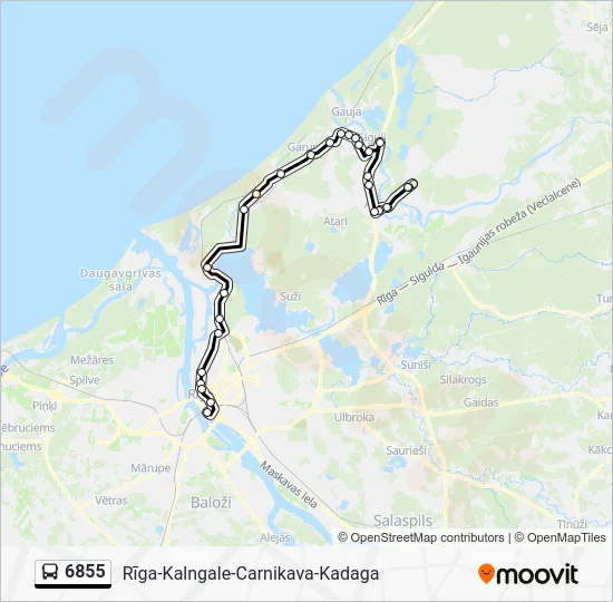 Автобус 6855: карта маршрута