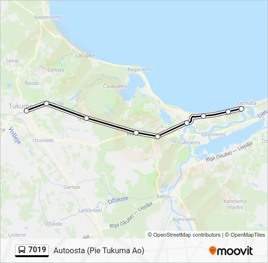 Автобус 7019: карта маршрута
