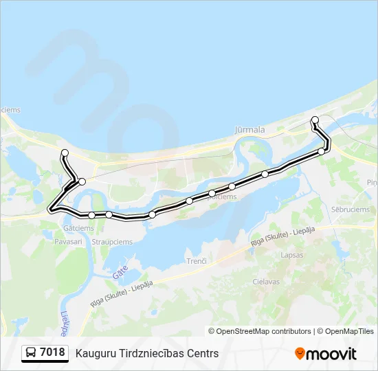 7018 Bus Line Map