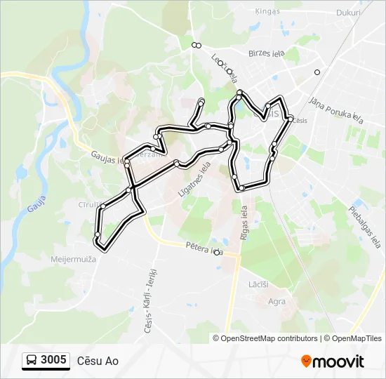 Автобус 3005: карта маршрута