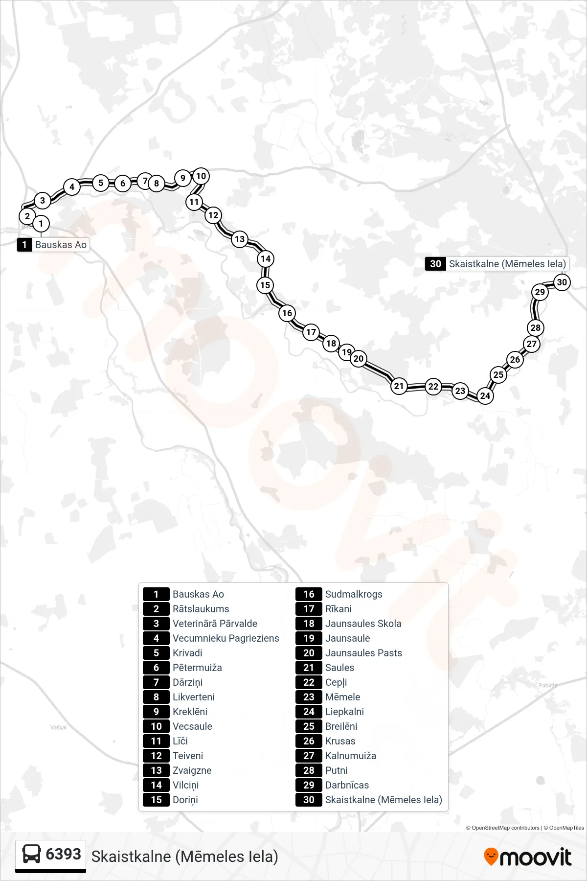 6393 bus Line (Skaistkalne (Mēmeles Iela)) route and stops on a map