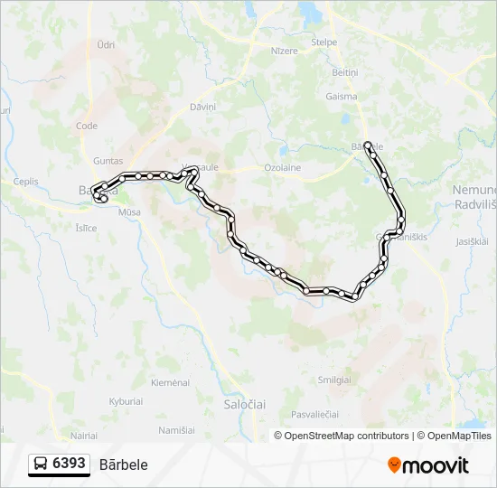 Автобус 6393: карта маршрута