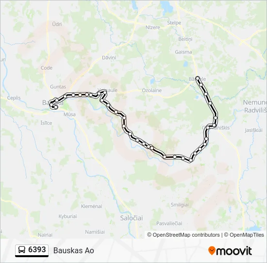 Автобус 6393: карта маршрута