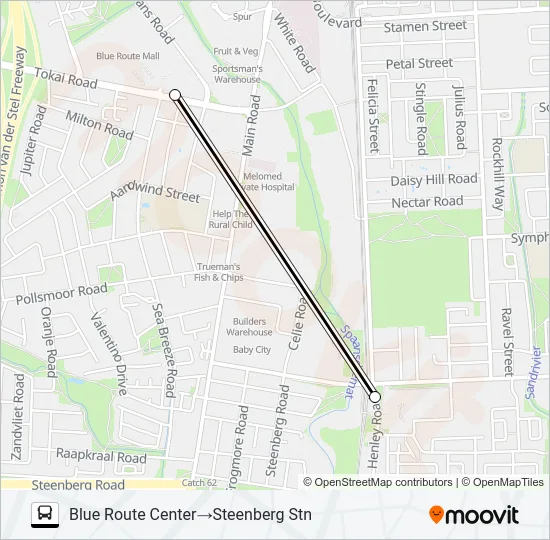 BLUE ROUTE CENTRE - STEENBERG STN Bus Line Map
