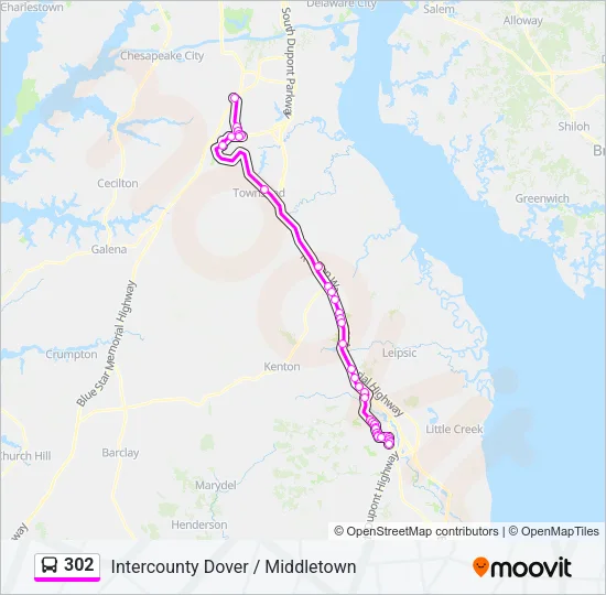 302 Bus Line Map