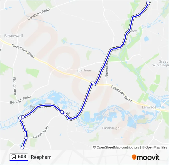 603 Route: Schedules, Stops & Maps - Reepham (Updated)