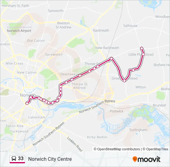 33 Route: Schedules, Stops & Maps - Norwich City Centre (Updated)