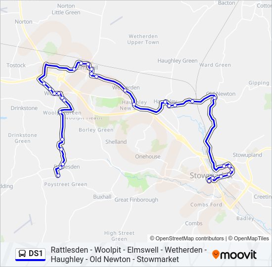 DS1 bus Line Map