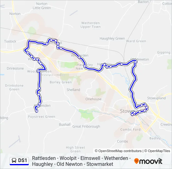 DS1 Bus Line Map