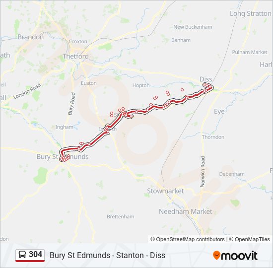 304 Route: Schedules, Stops & Maps - Diss (Updated)