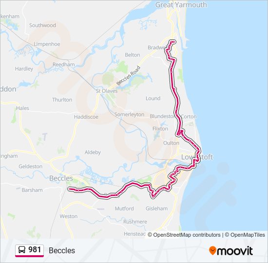 981 bus Line Map